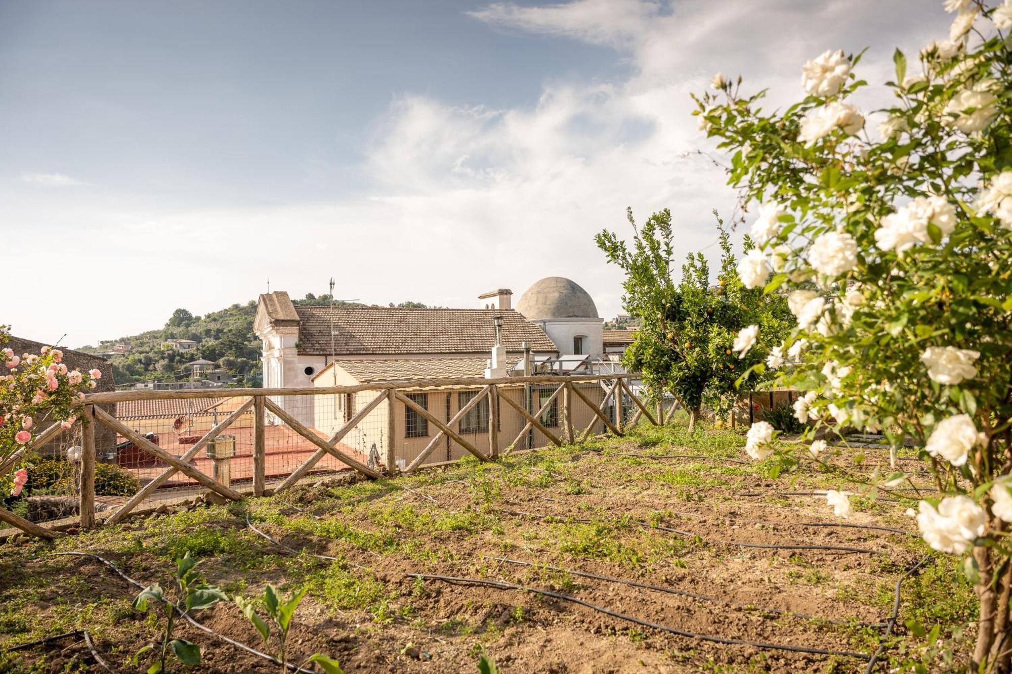 Casa De Maria Vila Massa Lubrense Exterior foto